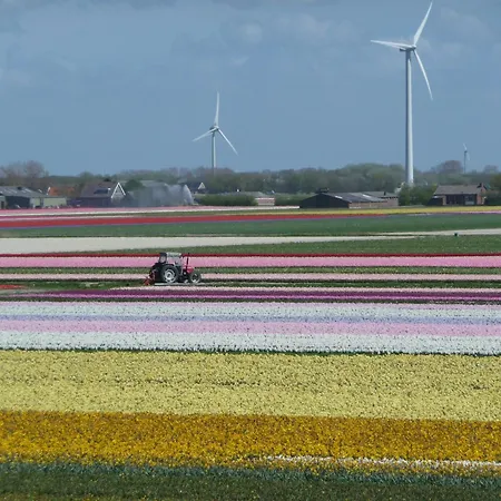 Apartment Vakantiewoning Hofstraat 5