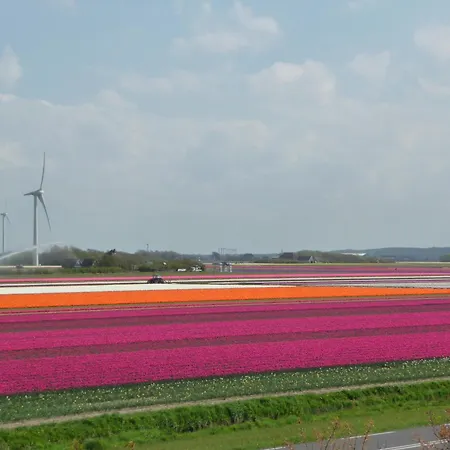 Vakantiewoning Hofstraat 5 Apartment Petten