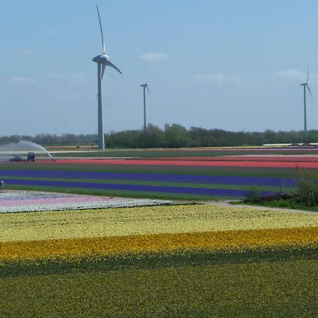 Vakantiewoning Hofstraat 5 *