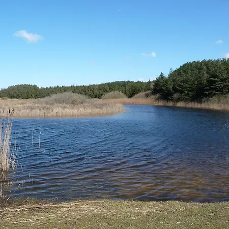 Vakantiewoning Hofstraat 5 Petten